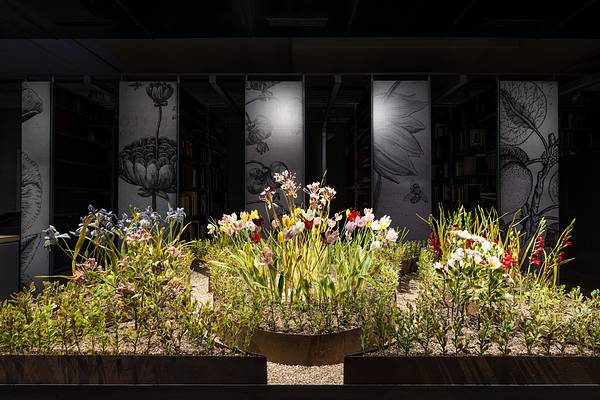 Lilla Tabasso, Garden of Crispijn de Passe, 2025